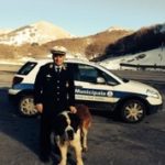 cane polizia locale