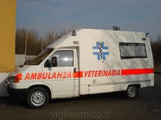 ambulanza_veterinaria